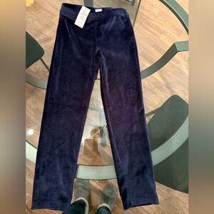 GAP Deep Blue Velvet Pants